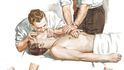 Anatomické ilustrace dr. Franka Nettera