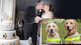 Láska slepeckých psů: Jejich páníčci se do sebe také zamilovali a vzali se!