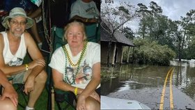 Aligátor po hurikánu roztrhal seniora: Manželka jela v kánoi pro pomoc, policie našla jen kaluž krve