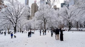 New York má letos bohatou sněhovou nadílku (14. 12. 2025).