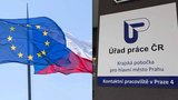 Česko je nejlepší v celé EU: Ostatní země převálcovalo v počtu zaměstnaných