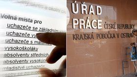 Konečně šance pro lidi nad 50? Česko je v „údolí smrti“, chybí absolventi