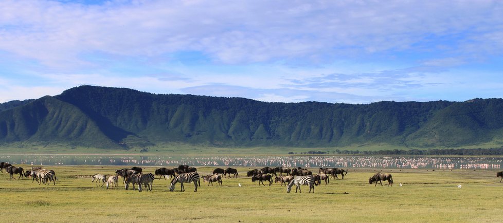 Kráter Ngorongoro patří mezi nejkrásnější a nejzajímavější v Africe vůbec.