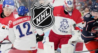 Češi, kteří se perou o NHL: děti legend, Novák po rakovině i brankáři