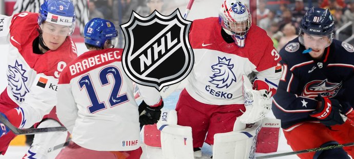 Development kempy v NHL začínají, kteří Češi mají šanci porvat se o šanci v prvním týmu?