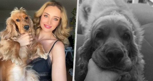 Fenku Nicole Šáchové napadl pes!