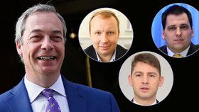 Nigel Farage se stal terčem kritiky v europarlamentu i Británii. Co na to čeští europoslanci?