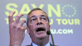 Nigel Farage chce vyvést Británii z EU.