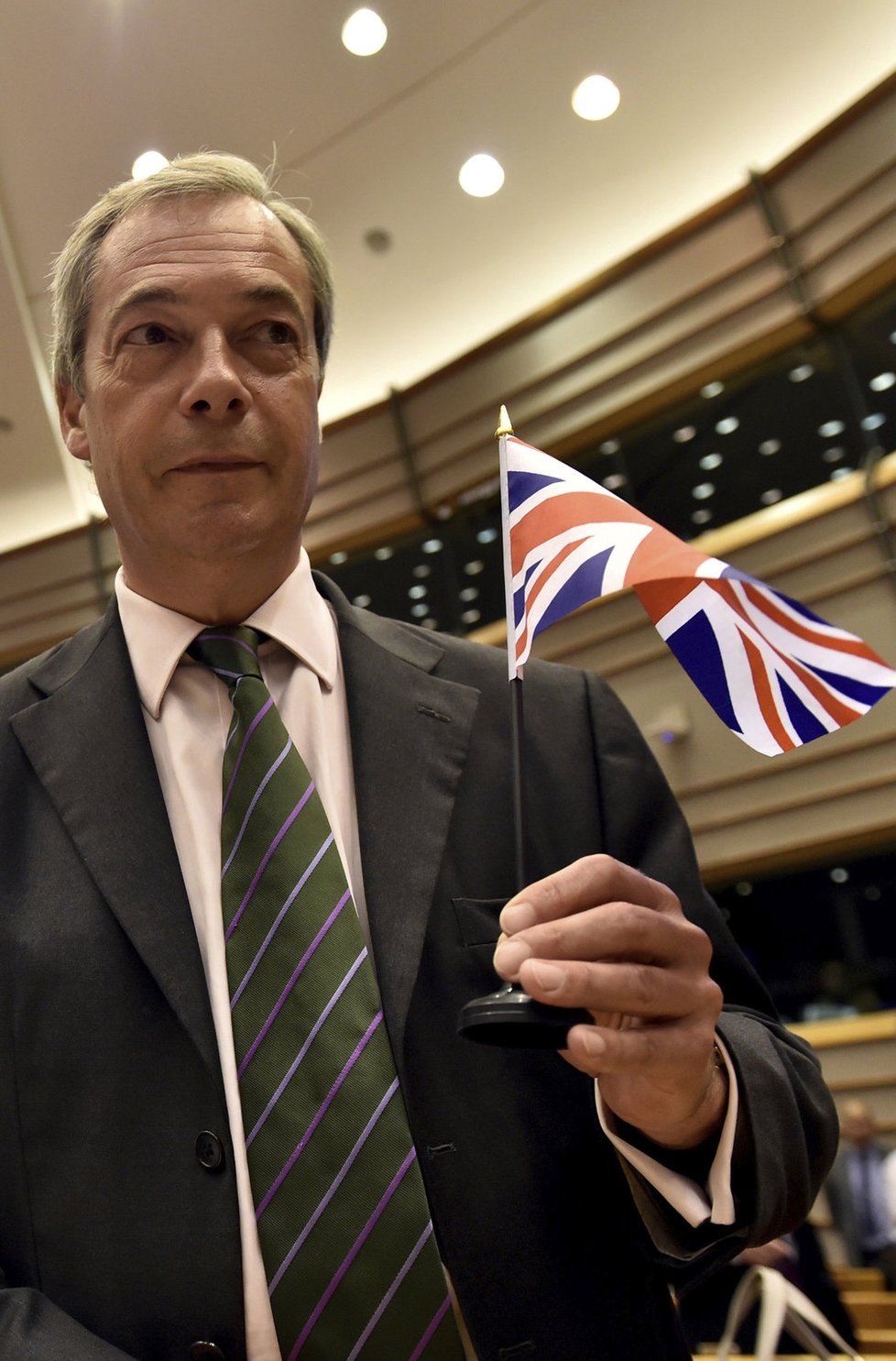 Po brexitu šéf UKIPu Farage ve vedení strany skončil