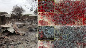 Satelitní snímky odhalily dopad ničivého útoku radikálních islamistů Boko Haram