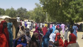 Nigerijské vládě se podařilo vyjednat propuštění školaček, které v únoru unesla teroristická organizace Boko Haram.