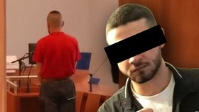 Smrt Roma u Brněnské přehrady: Cizinec byl obžalován z vraždy Nikolase (†23)!