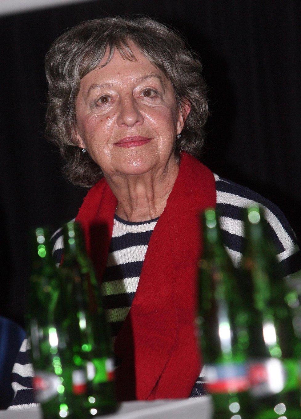 Nina Divíšková v roce 2008