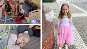 Nina z Hradce Králové trpí akutní myeloidní leukémii.