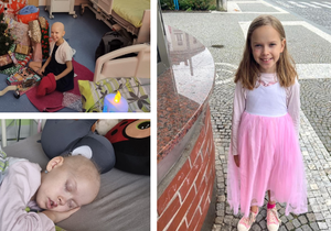 Nina z Hradce Králové trpí akutní myeloidní leukémii.