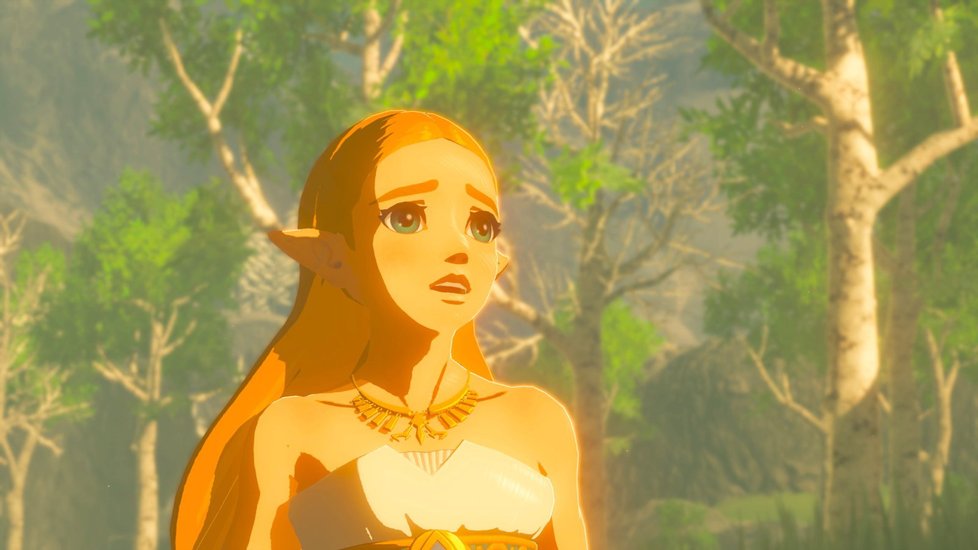 The Legend of Zelda: Breath of the Wild pro Nintendo Switch.