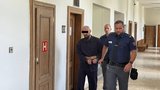16 let za pokus o vraždu stařečka (71)! Zbitý muž po útoku odešel domů, pachatel se zadkem napíchl na plot