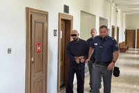 16 let za pokus o vraždu stařečka (71)! Zbitý muž po útoku odešel domů, pachatel se zadkem napíchl na plot