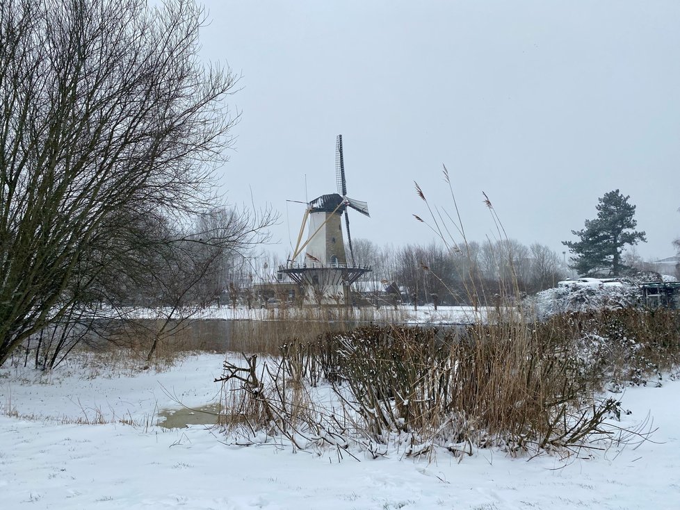 Sníh v Nizozemsku, (8.02.2020).