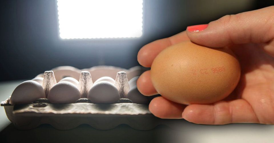 S tím částečně souhlasila i Dlouhá. Podle odbornice česká produkce vajec pokryje přibližně 70 procent poptávky. Obchodníci a řetězce potom nakupují v okolních státech za výhodnější ceny.