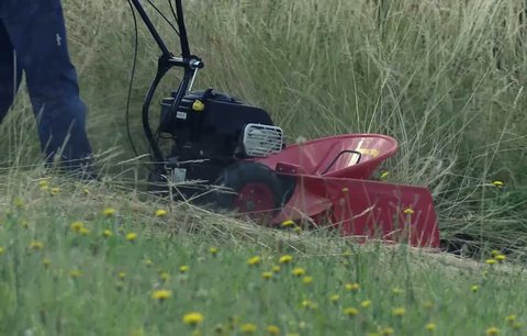 Video: Jak rychle zlikvidovat vysokou trávu?