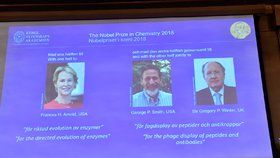 Nobelovu cenu za chemii získala trojice laureátů