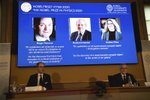 Nobelovu cenu za fyziku v letošním roce získali Brit Roger Penrose, Němec Reinhard Genzel a Američanka Andrea Ghezová za výzkum černých děr.