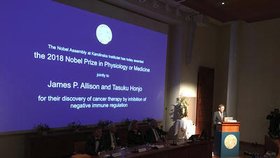 Nobelovu cenu za lékařství získali získali Američan James P. Allison a Japonec Tasuku Hondžó