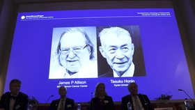 Nobelovu cenu za lékařství získali získali Američan James P. Allison a Japonec Tasuku Hondžó
