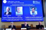 Nobelovu cenu za fyziku v roce 2021 získali Američan japonského původu Syukuro Manabe, Němec Klaus Hasselmann a Ital Giorgio Parisi (5.10.2021)