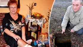 Věra Kuralová (67) šla na Štědrý den zapálit manželovi svíčku na hrob. Na parkovišti ale spadla do žumpy a ošklivě si zranila nohu. Kovový kryt jímky totiž někdo ukradl. Vánoce strávila v bolestech.
