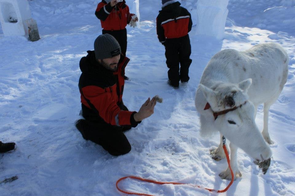 Když u sebe nemá své psí kamarády, našel si jiné zvíře