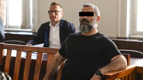 Střelec ze Zličína: Armén (53) si odsedí sedm let, trest přijal