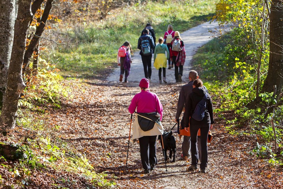 Nordic walking si získal po celém světě oblibu lidí nejrůznějšího věku.