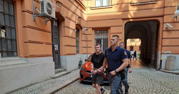 Karolis Norkus, který vykradl v roce  2015 klenotnictví v Brně, si trest 7,5 roku odsedí v Litvě.