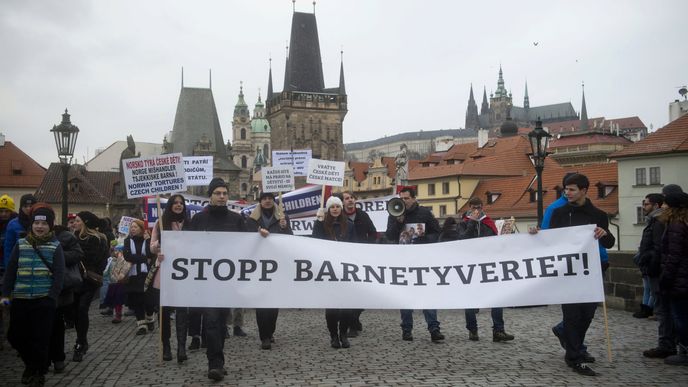 Proti sociálce se v Česku demonstrovalo. Mělo to vliv?