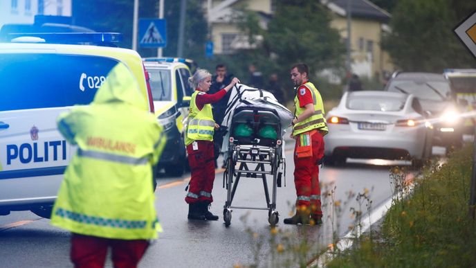 Nejméně jeden člověk utrpěl zranění při střelbě v mešitě poblíž norského hlavního města Oslo. (10.8.2019)