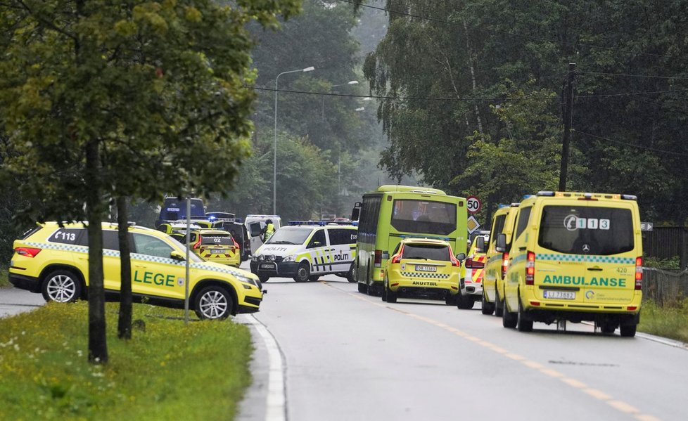 Nejméně jeden člověk utrpěl zranění při střelbě v mešitě poblíž norského hlavního města Oslo. (10.8.2019)