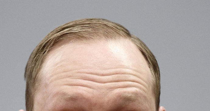 Breivik masakr přiznal, prý ale jednal v zájmu budoucnosti