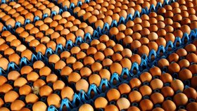 Norové si omylem na olympiádu objednali 15 tisíc vajec místo 1500.