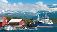Krása a majestátnost, které jinde nenajdete (Selnes na ostrově Kvaløya u Tromsø)
