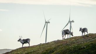 Norským pastevcům vadí větrníky. Soud je podpořil, kvůli sobům se může zastavit 151 turbín