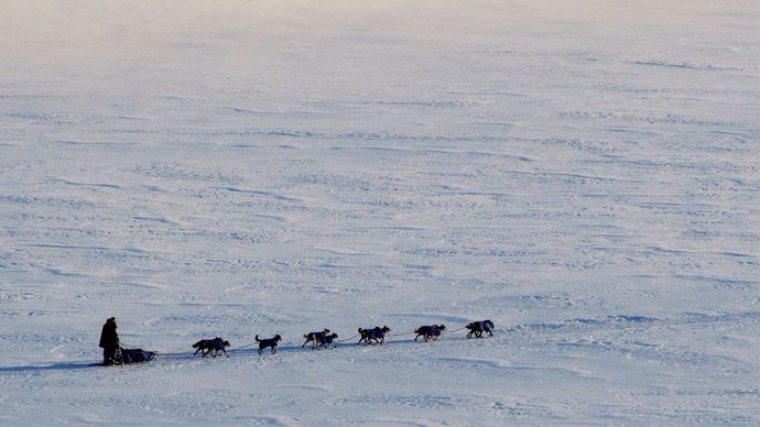 Za 5 dní 1000 kilometrů: Finnmarksløpet je nejdelším a nejsevernějším závodem psích spřežení v Evropě