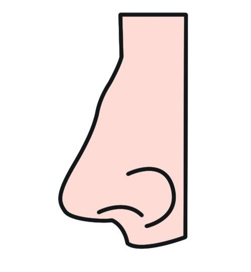 Konkávní nos