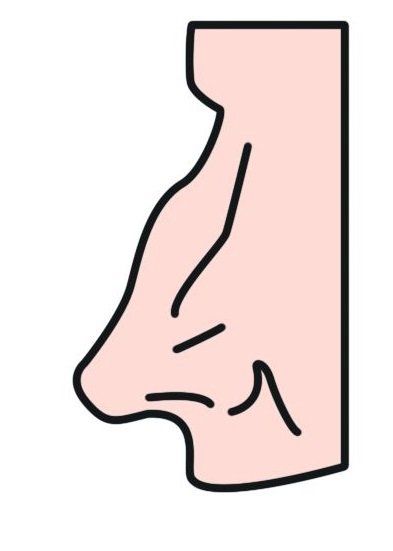 Křivý nos