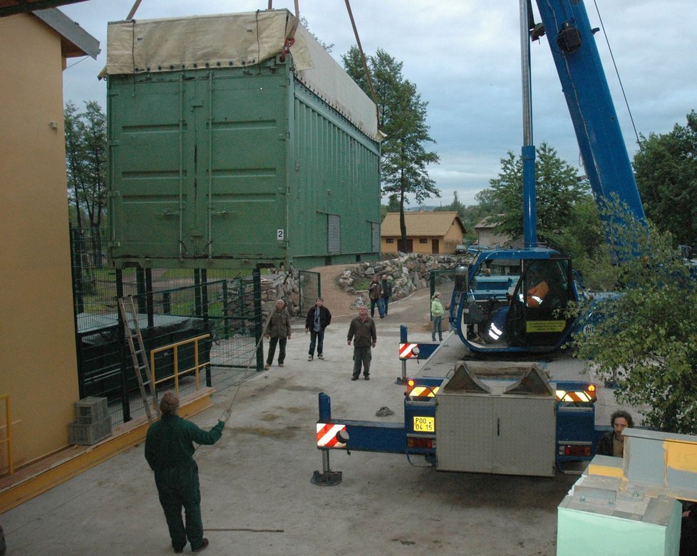 Přeprava nosorožce z Maďarska trvala 8 hodin