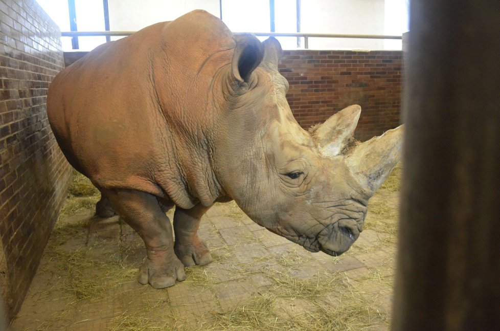 Zoologická zahrada Dvůr Králové