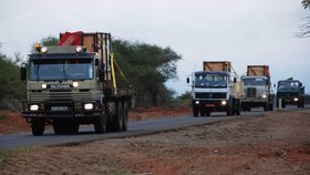 Cesta trojice dvorských nosorožců v přepravních bednách do rezervace Mkomazi v africké Tanzanii