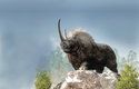 V DNA srstnatých nosorožců našli vědci stejná genetická přizpůsobení chladnému klimatu, jaká už dříve objevili u mamutů