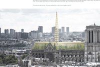 Promění se Notre-Dame v „zelenou“ katedrálu? Včelín za věž a místo střechy skleník